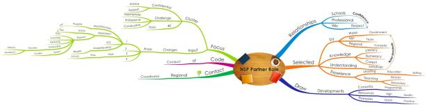 NSP Partner Role